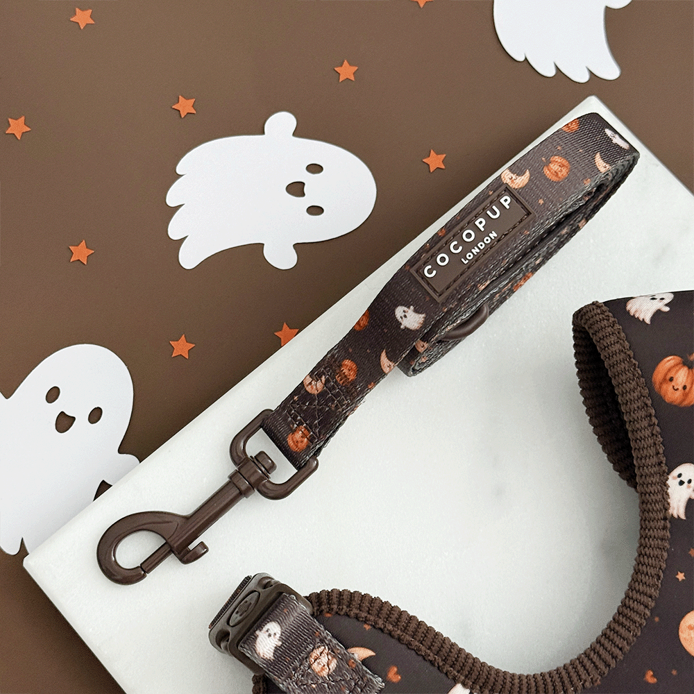 Brown dog lead with cute Halloween print featuring pumpkins, ghosts, and moons.