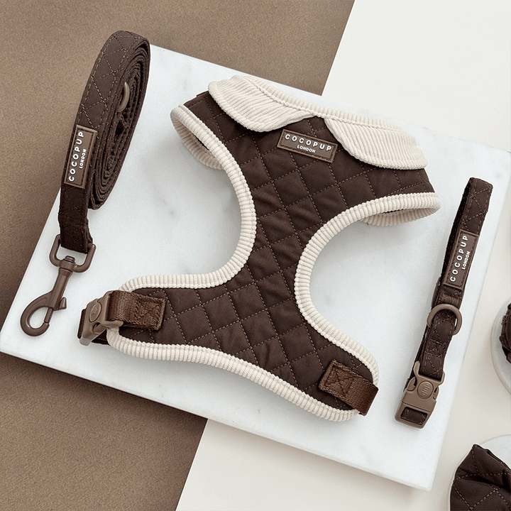 Burford Quilted Adjustable Neck Harness, Lead & Collar Bundle