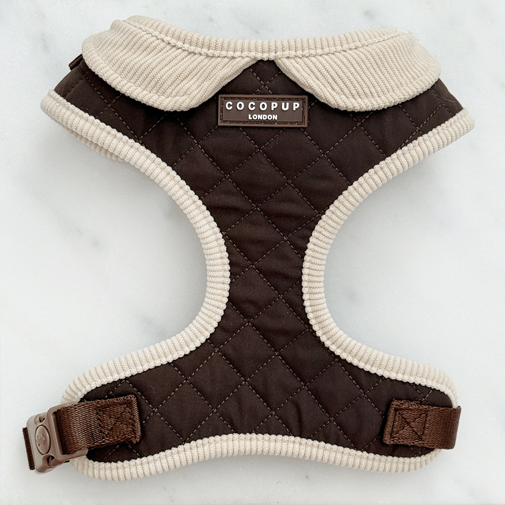 Burford Quilted Adjustable Neck Harness, Lead & Collar Bundle