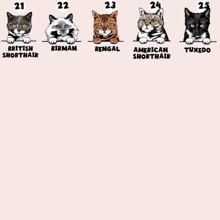 Personalised Cat Cartoon ID Tag - Khaki