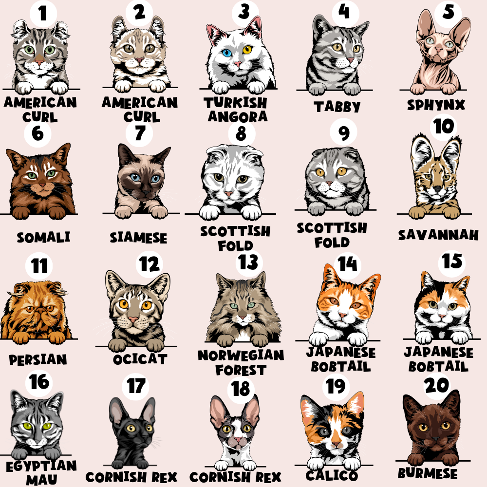 Personalised Cat Cartoon ID Tag - Sage Leopard
