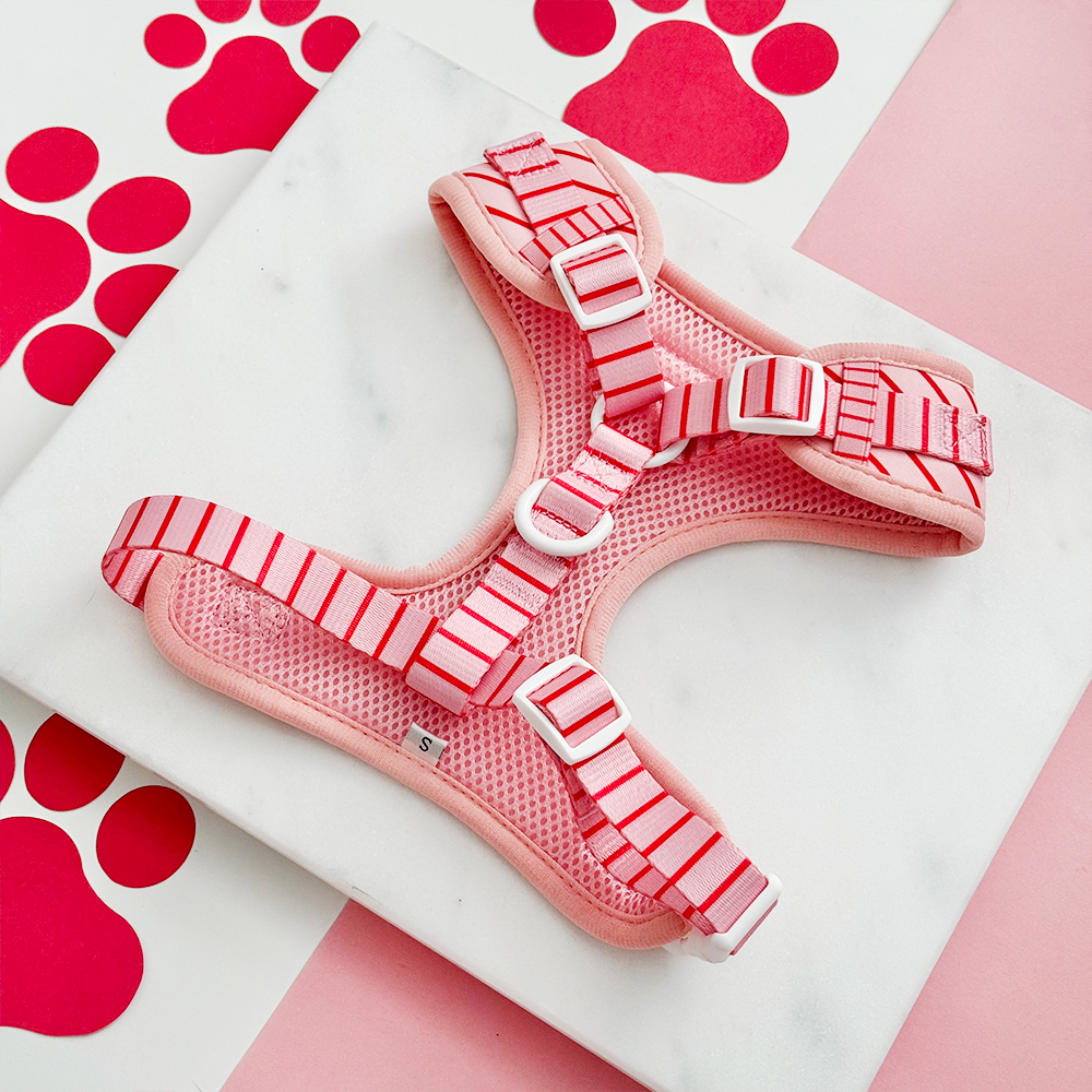 Candy Stripe Adjustable Neck HARNESS