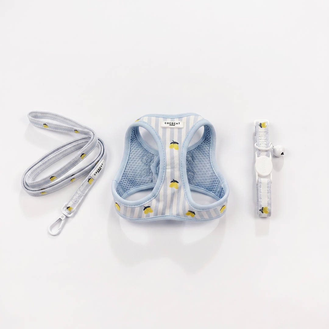 Cat harness, lead, and collar set with small yellow lemons on light blue striped fabric.