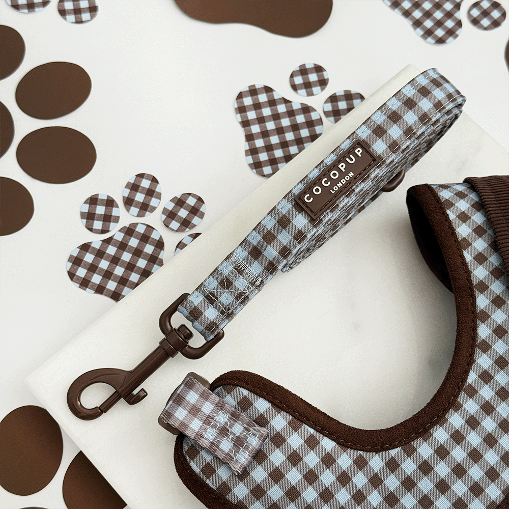 A brown and blue check print dog lead. With brown hardware.