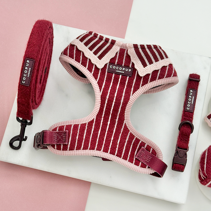 Knitted dog harness, collar and lead with burgundy and baby pink vertical stripes and a light pink scalloped edge.
