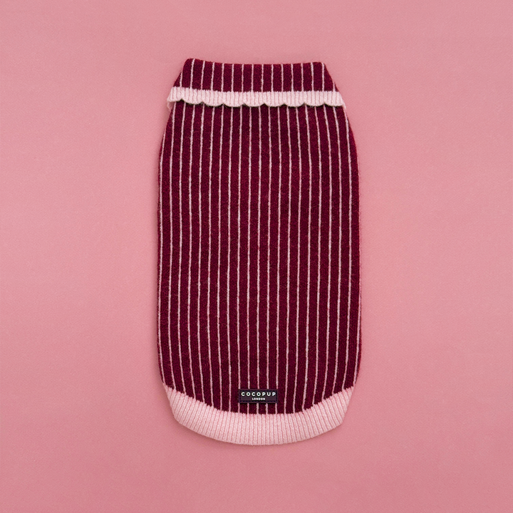 Knitted dog jumper in burgundy with thin baby pink vertical stripes, featuring a pink collar with scalloped edging.