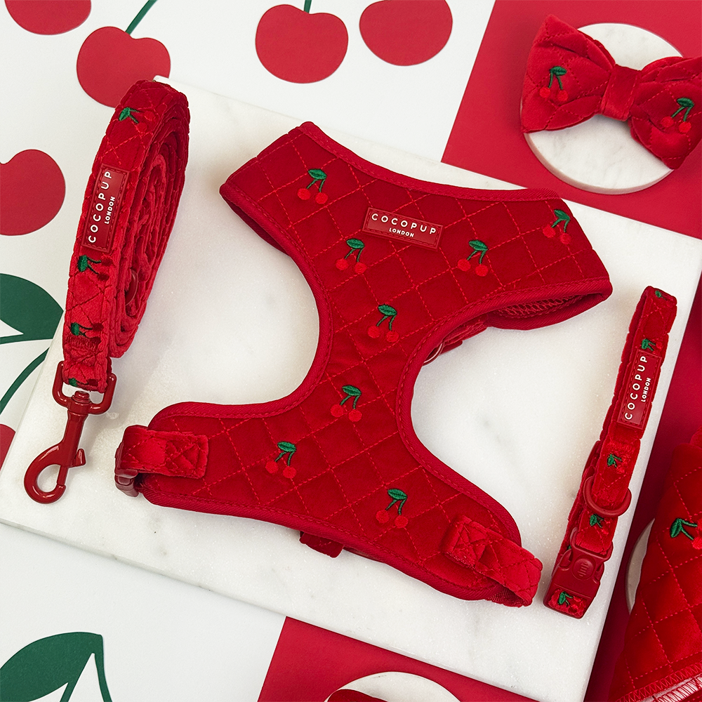 Cherry Velvet Crush Adjustable Neck Harness, Lead & Collar Bundle