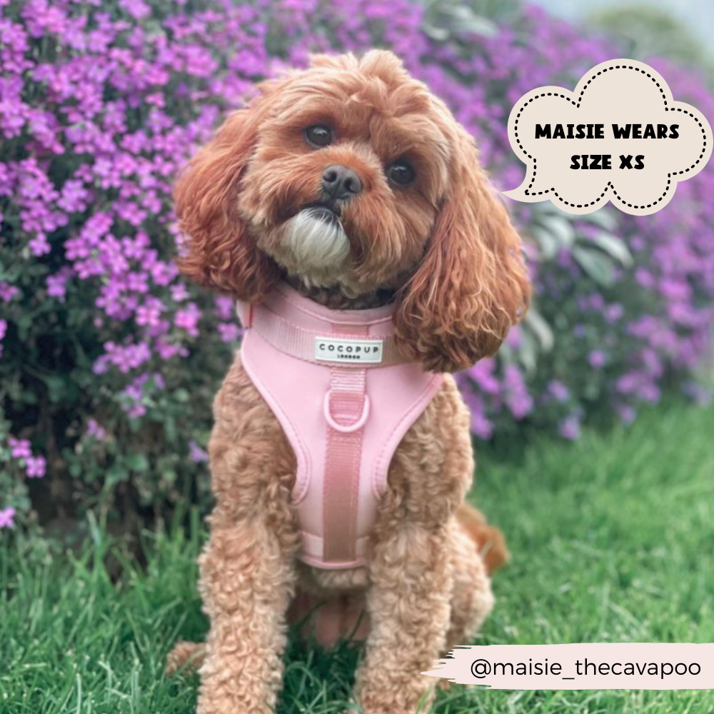 Pink Esa Dog Supplies Pink Service Dog Vest Outlet - Main Image