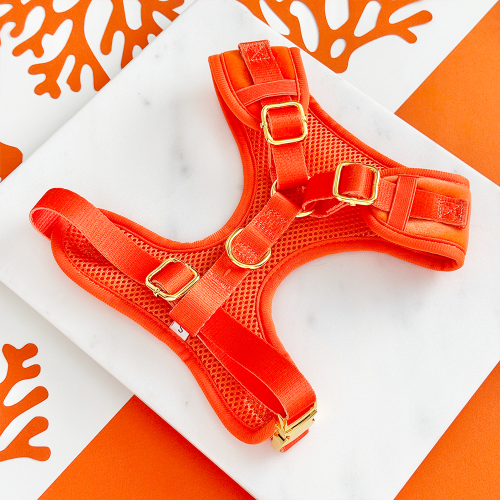 Luxe Velvet Adjustable Neck Harness, Lead & Collar Bundle - Coral Core