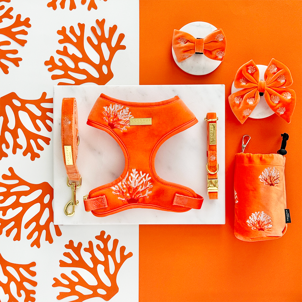 Luxe Velvet Lead - Coral Core