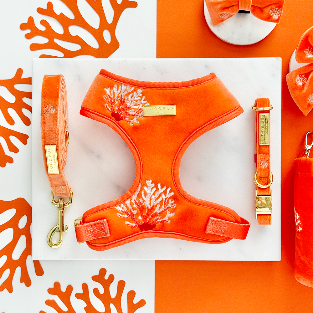 Luxe Velvet Lead - Coral Core