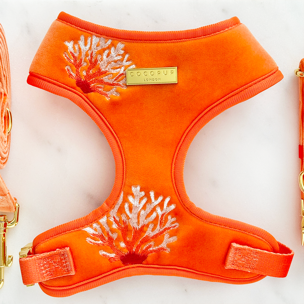 Luxe Velvet Adjustable Neck Harness, Lead & Collar Bundle - Coral Core