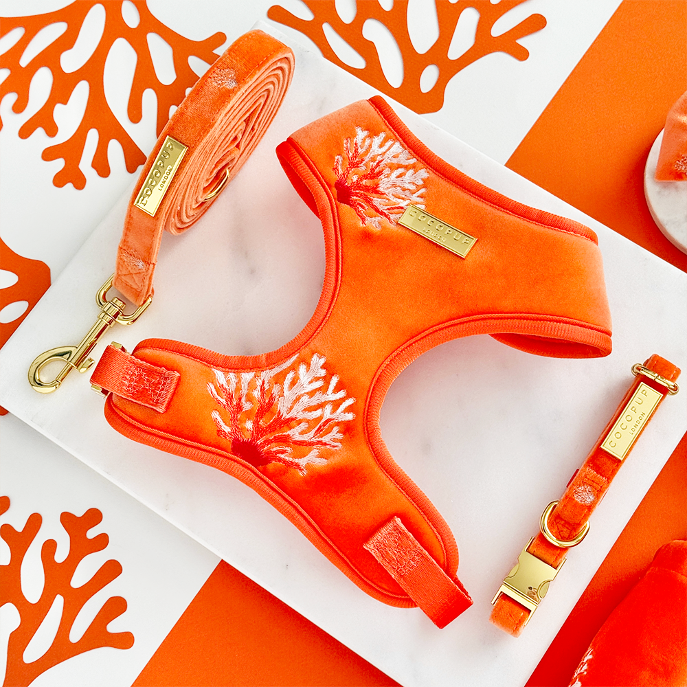 Luxe Velvet Adjustable Neck Harness, Lead & Collar Bundle - Coral Core