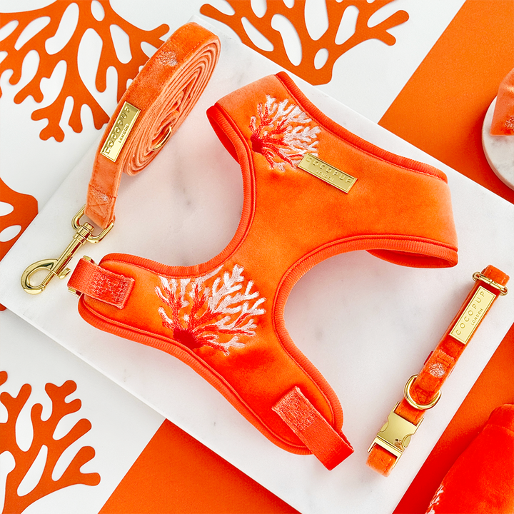 Luxe Velvet Adjustable Neck Harness, Lead & Collar Bundle - Coral Core