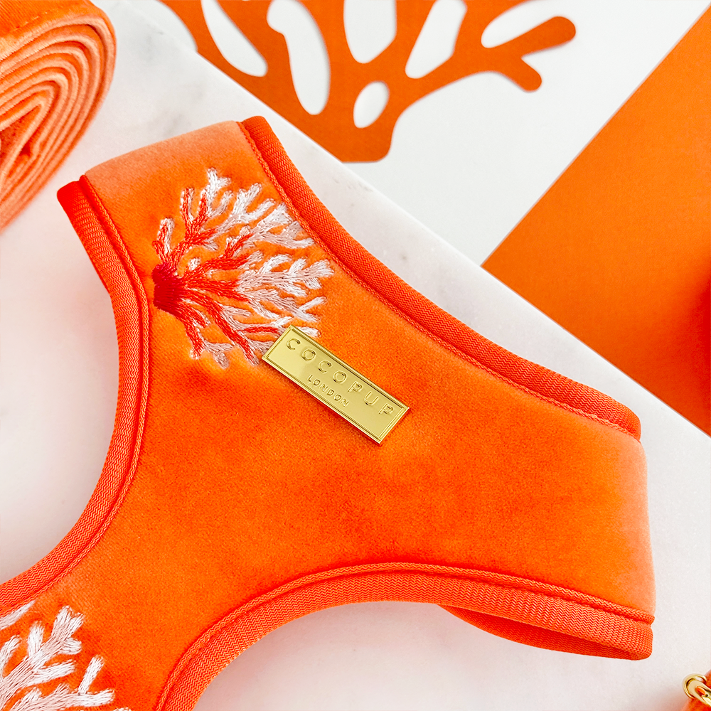 Luxe Velvet Adjustable Neck Harness, Lead & Collar Bundle - Coral Core