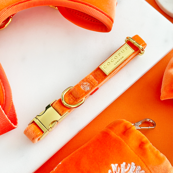 Luxe Velvet Adjustable Neck Harness, Lead & Collar Bundle - Coral Core
