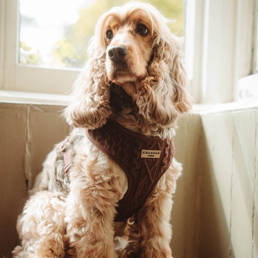 Cable Knit Jumper Adjustable Neck Dog Harness Cocopup London