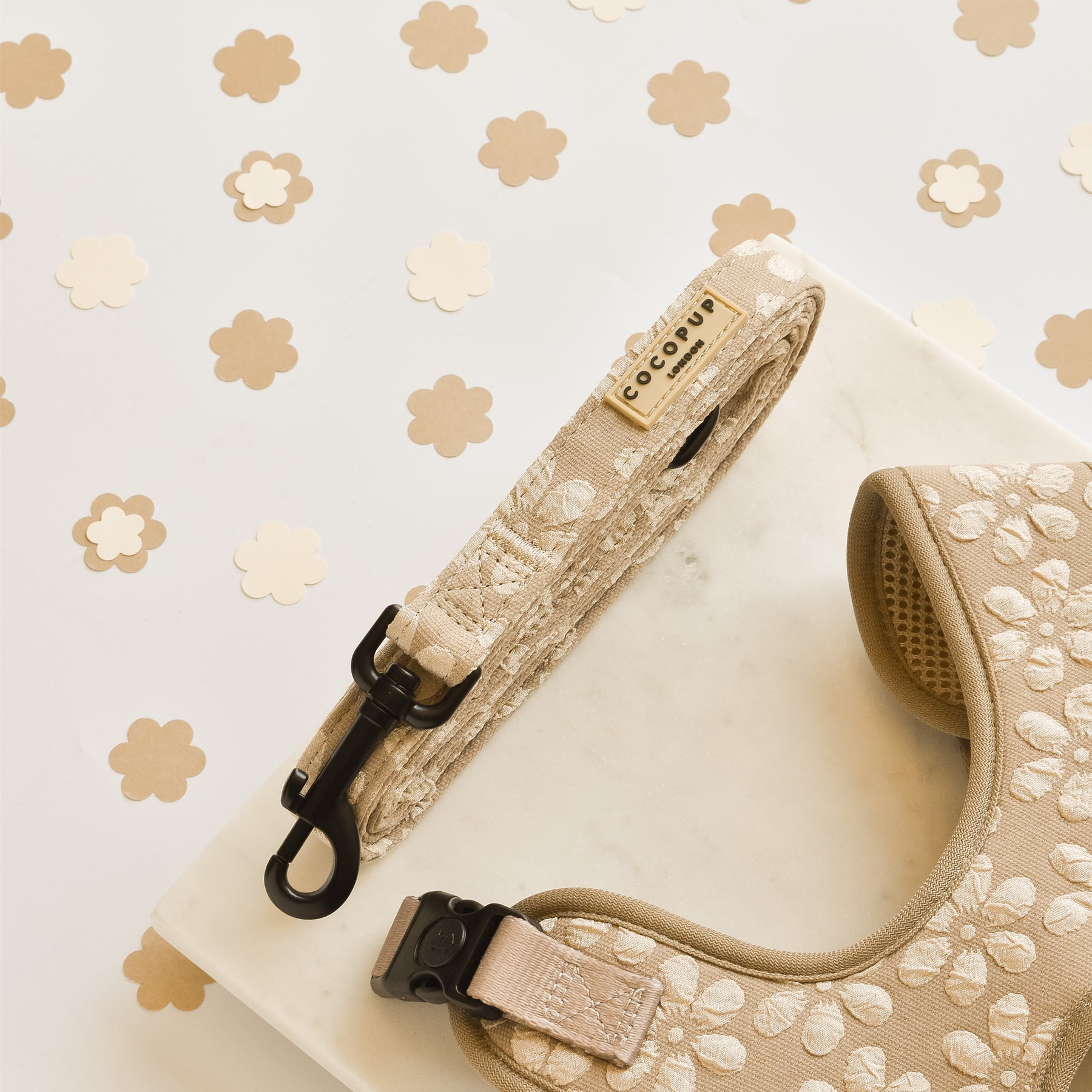 Beige dog harness and leash with floral pattern on white background with flower decorations.