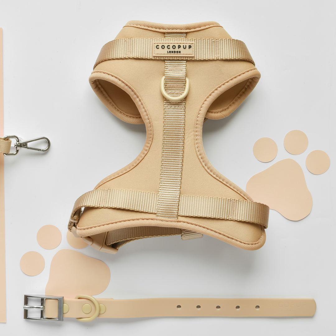 NAKD Adjustable Neck Harness, Lead, Collar & Poop Bag Holder Bundle - Biscuit
