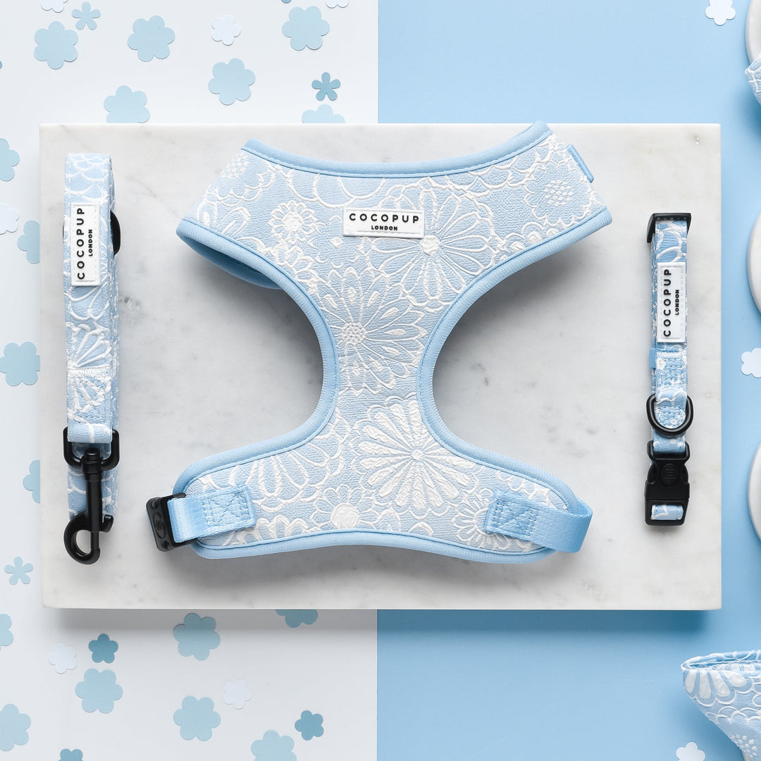 Luxe Baby Blue Flower Adjustable Neck Harness, Lead & Collar Bundle