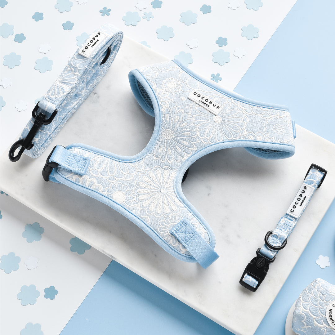 Luxe Baby Blue Flower Adjustable Neck Harness, Lead & Collar Bundle