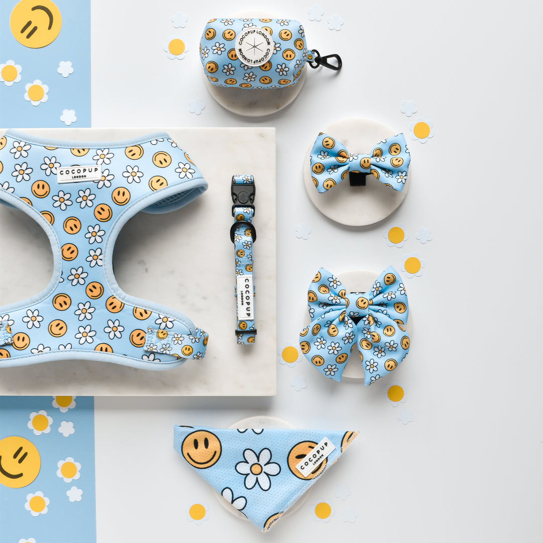 Smiley Pawty Tent Bow Tie