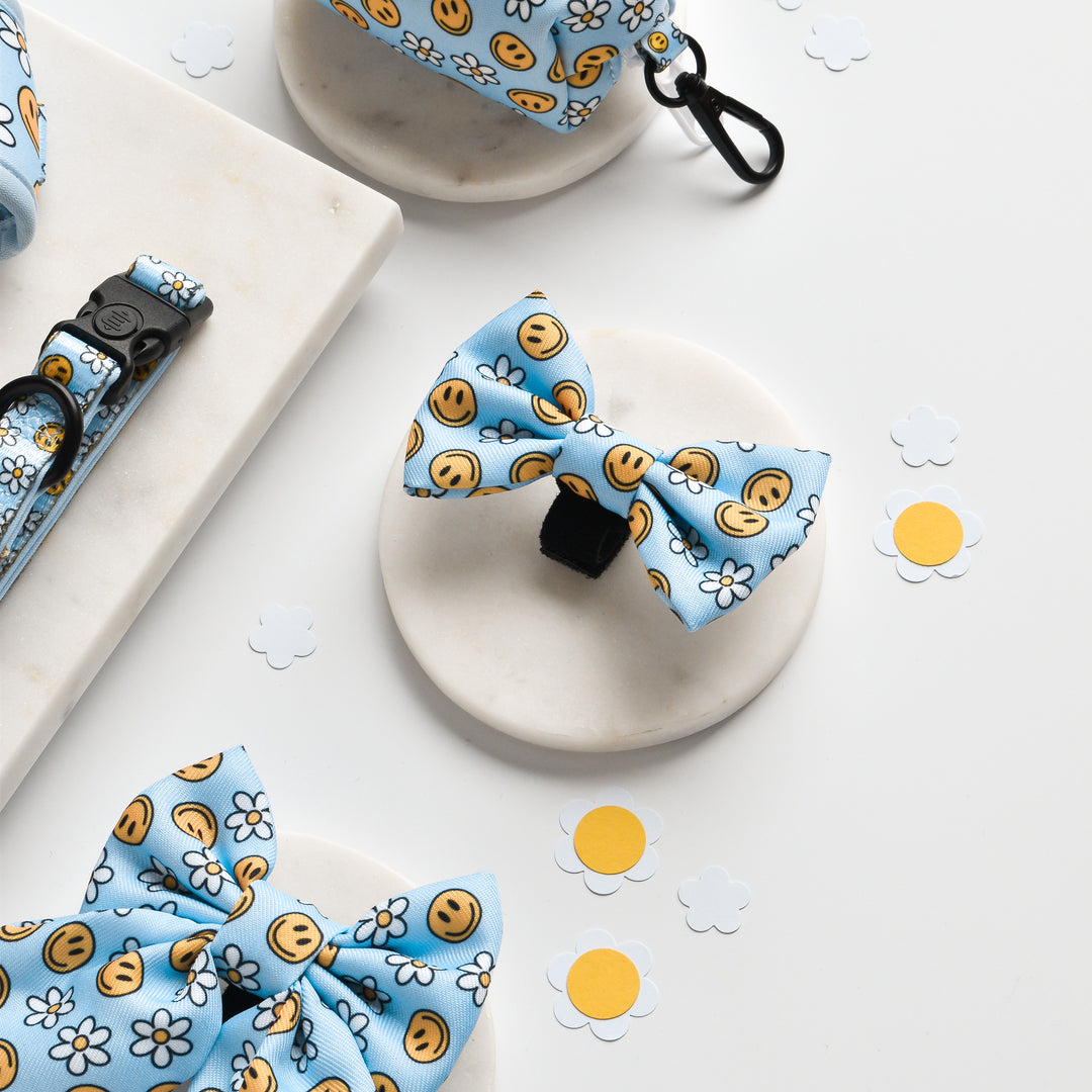 Smiley Pawty Tent Bow Tie
