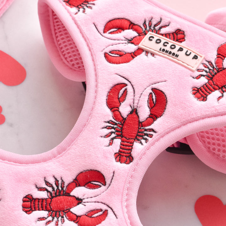 Luxe Velvet Adjustable Neck Harness - Lobster Love