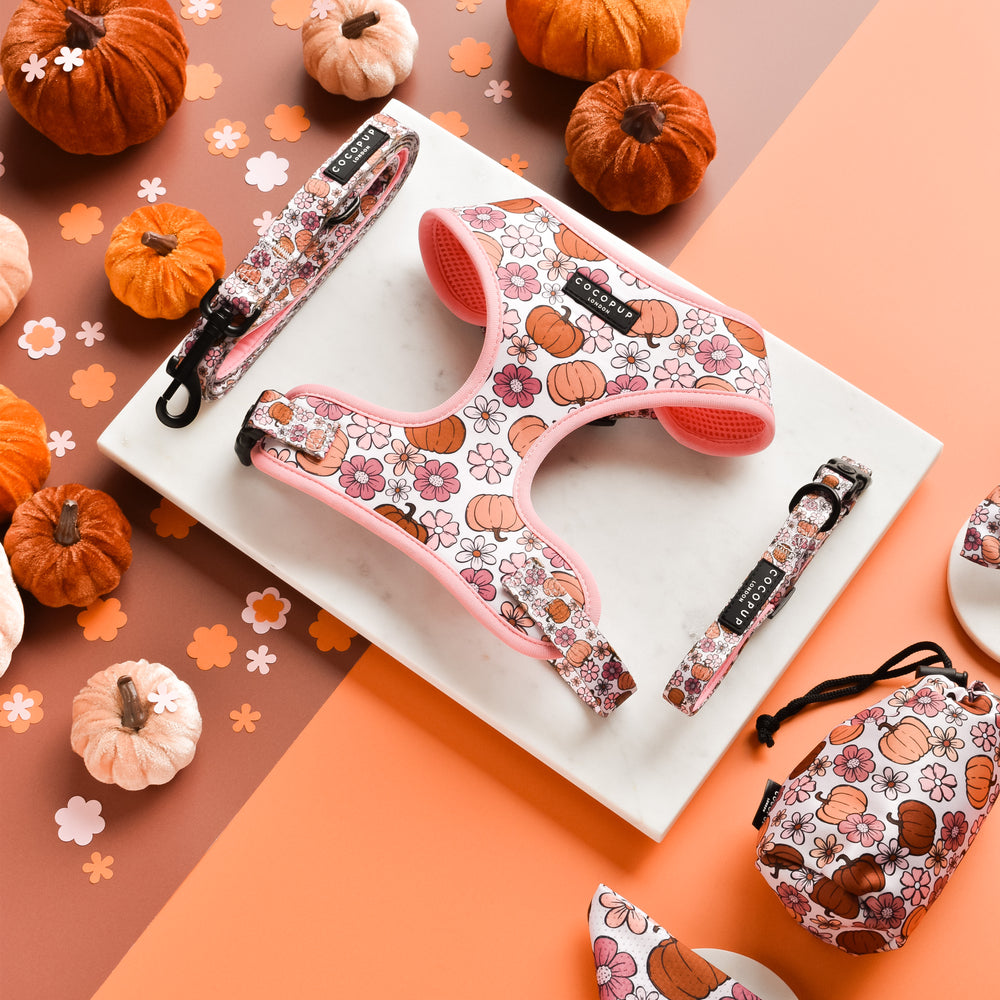 A stylish flat lay showcases the Pup-kin Meadow Adjustable Neck Harness, Lead & Collar Bundle from Cocopup London. The pink dog harness, adorned with charming pumpkin and floral patterns, is artfully arranged on a marble board. Made from neoprene material, the set includes a matching adjustable leash, a fully adjustable collar, and a waste bag holder. Mini pumpkins and floral cutouts are elegantly scattered around the items against a peach and orange background.