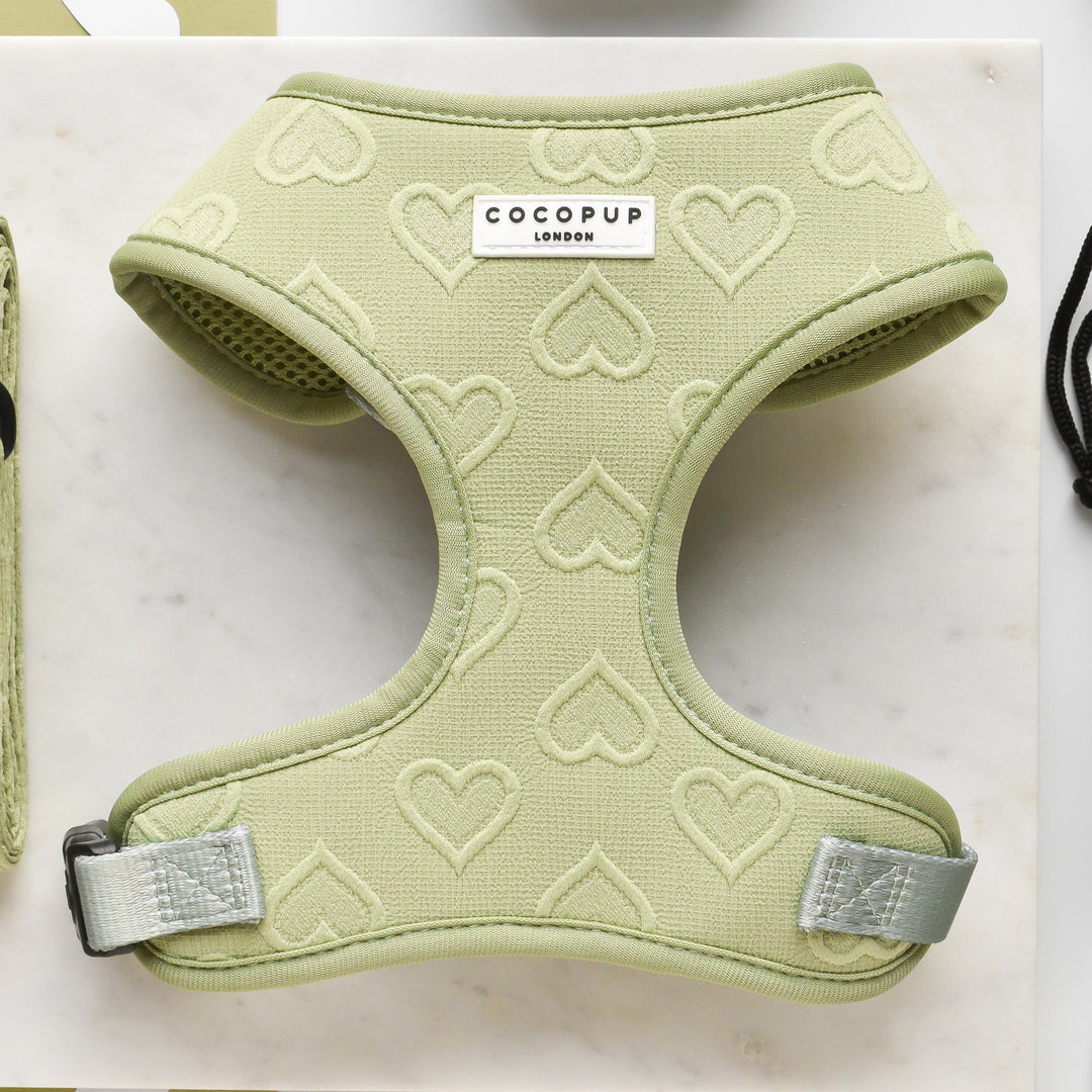 Luxe Adjustable Neck Dog Harness Sage Heart Cocopup London