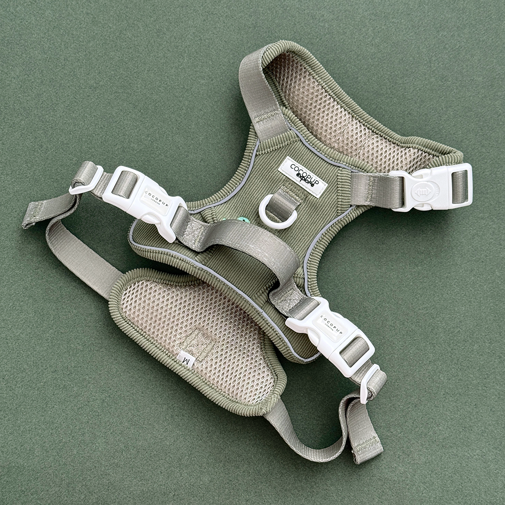 Dog harness in green corduroy material, with embroidered dinosaur design.