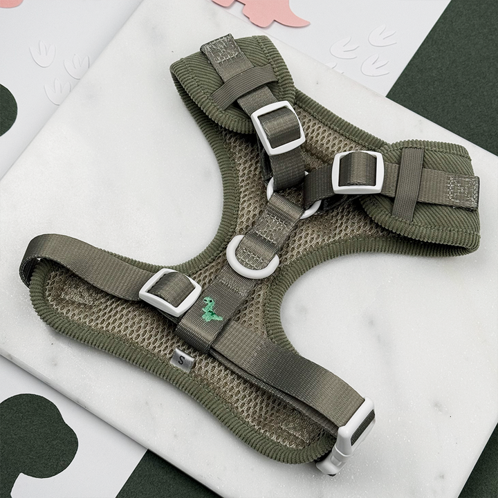 Green corduroy material back of Harness with embroidered dinosaurs. D Ring attachment for lead and adjustable neck and chest straps.