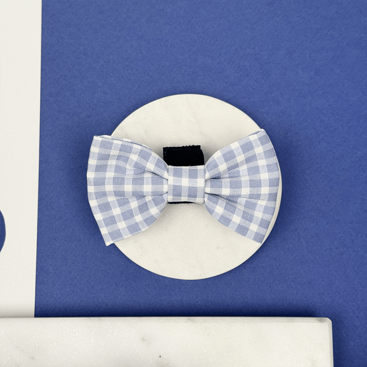 Blue and white checkered, gingham design Dog Bow Tie.