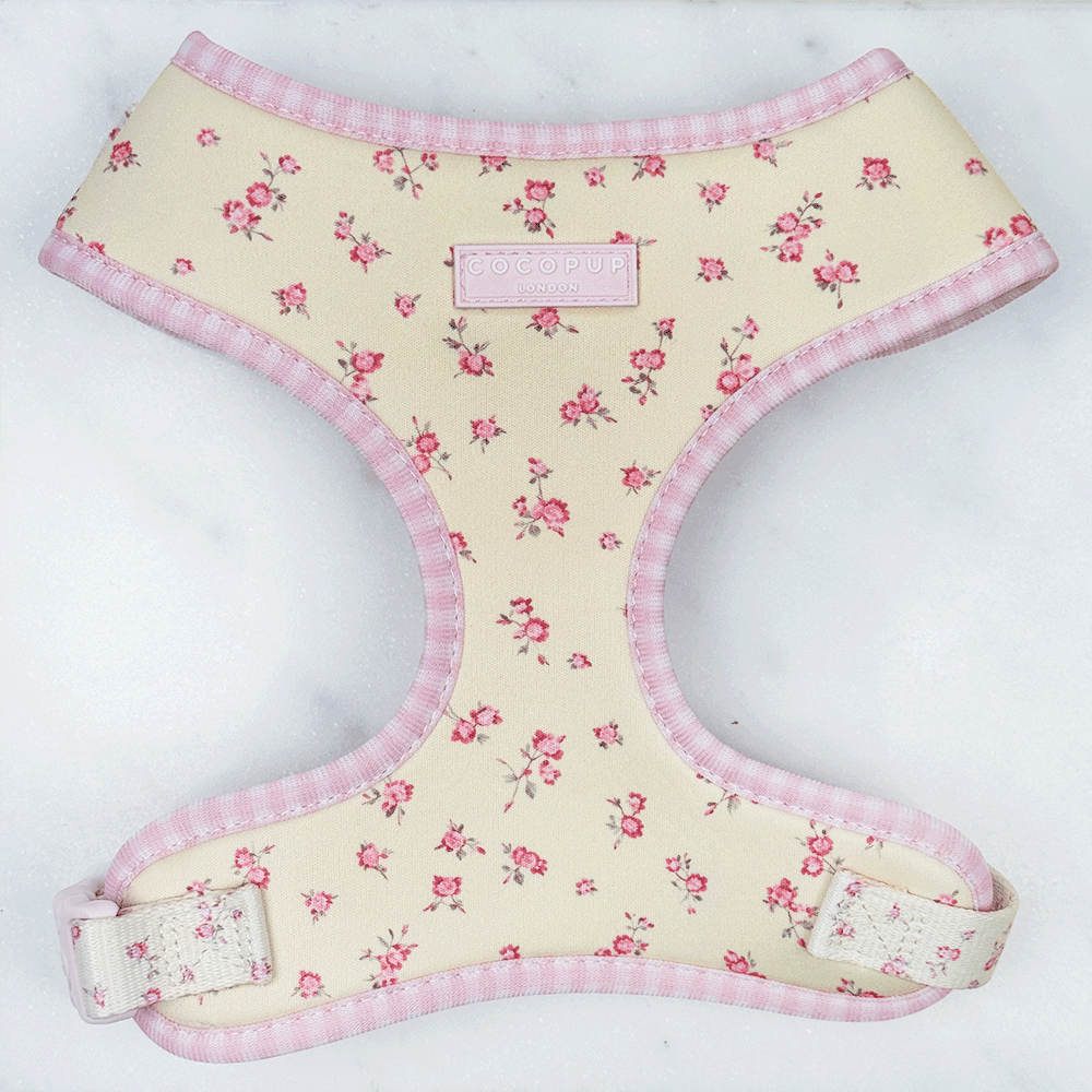 Dog Harnesses | Small & Large Breeds | Cocopup London Dog Harnesses | Small & Large Breeds | Cocopup London