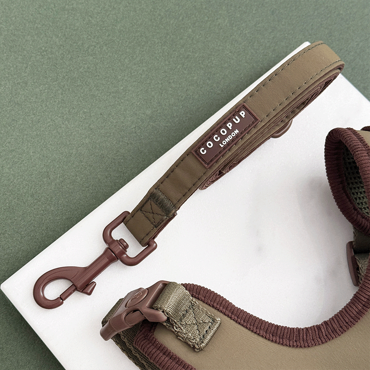 Farmhouse Lead - Moss Green