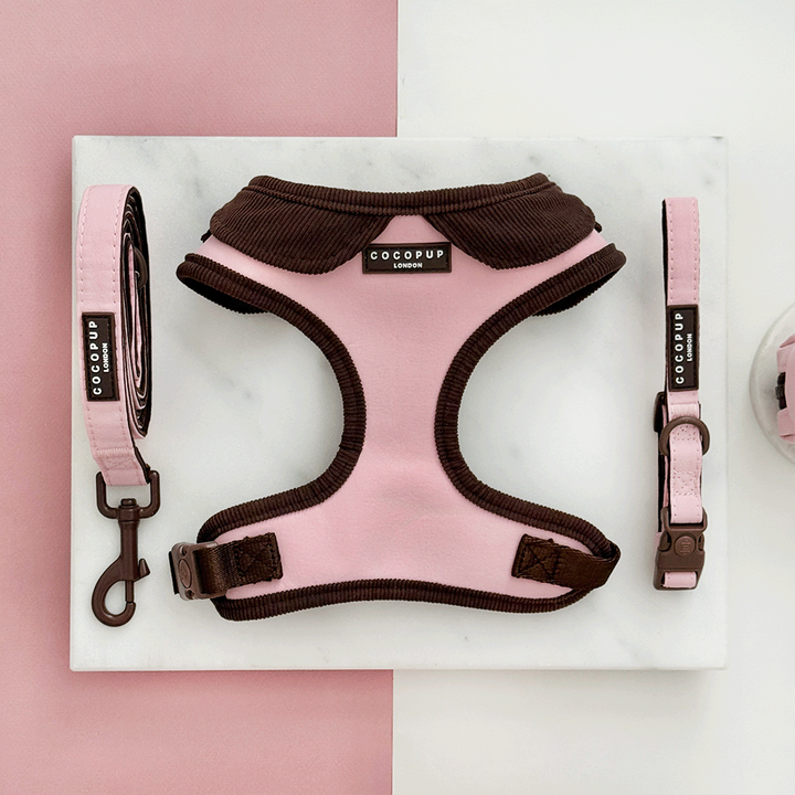 Farmhouse Dusty Pink Adjustable Neck Harness, Lead & Collar Bundle