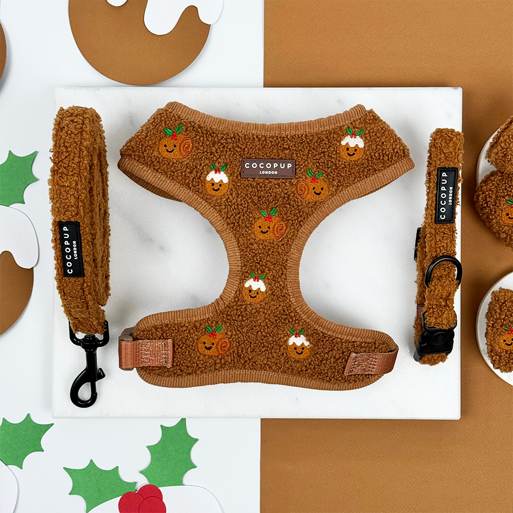 Festive Pudding Pup Adjustable Neck Harness, Lead & Collar Bundle