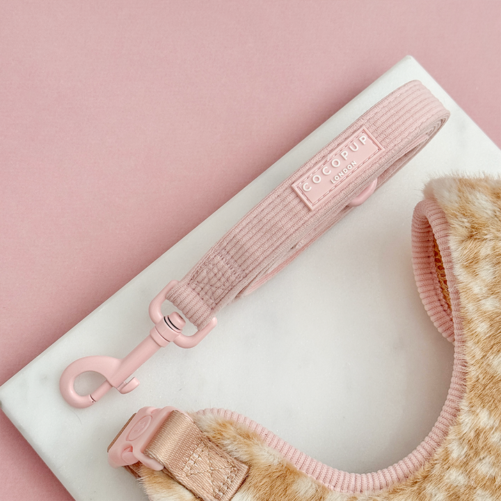 Pink ribbed dog lead.