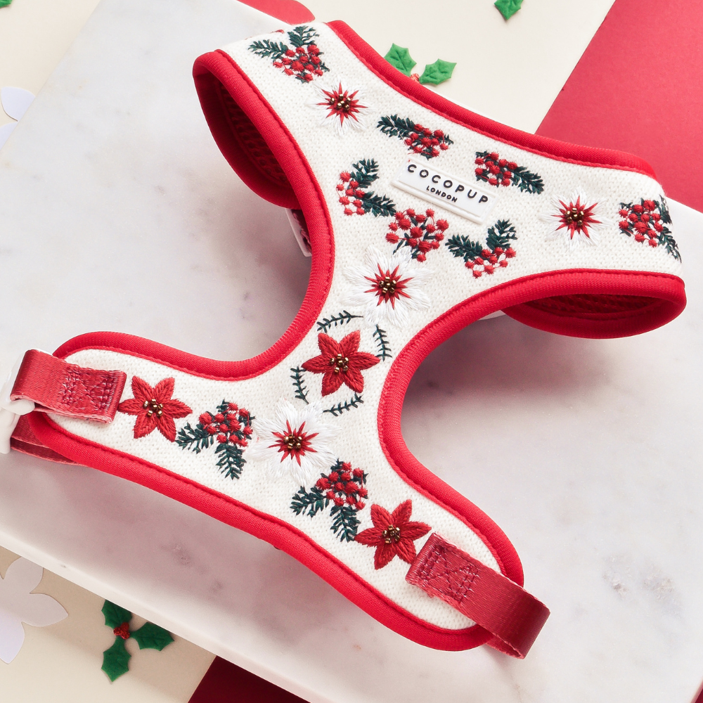 Christmas Mystery Bundle - Big