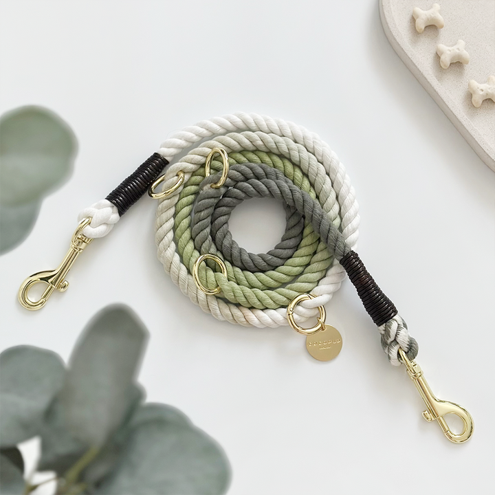 Double Ended Rope Lead - Pistachio Green