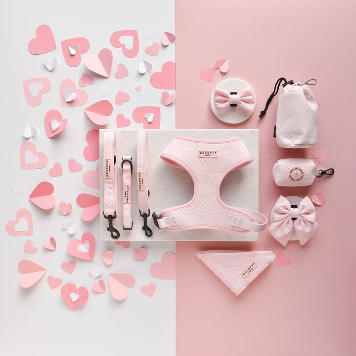 Luxe Bow Tie - Baby Pink Heart