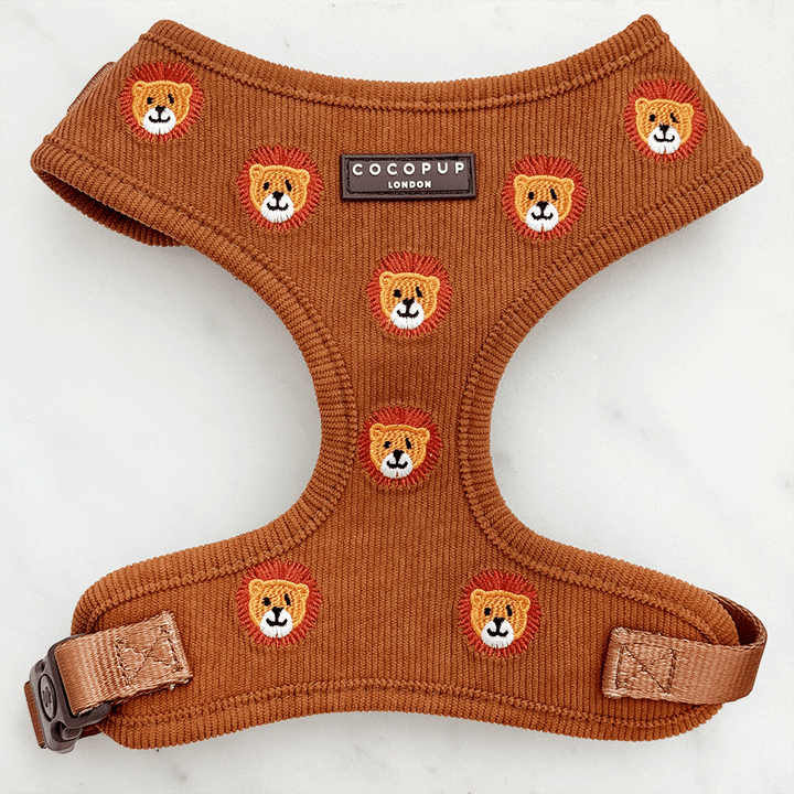 Leo the Lion Adjustable Neck Harness, Lead & Collar Bundle