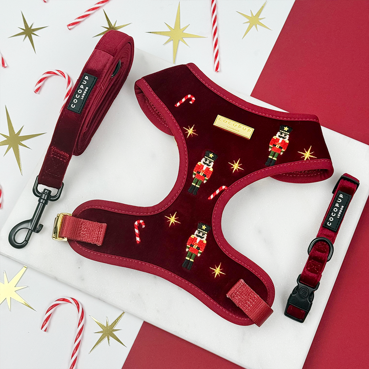 The Muttcracker Adjustable Neck Harness, Lead & Collar Bundle