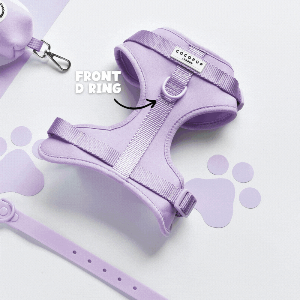NAKD Adjustable Neck Dog Harness Parma Violets Cocopup London NAKD Adjustable Neck Dog Harness Parma Violets Cocopup London