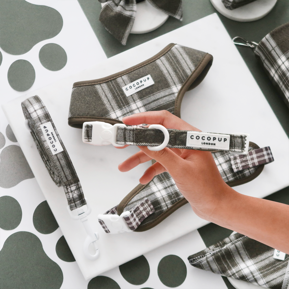 Olive Check Adjustable Neck Harness, Lead & Collar Bundle