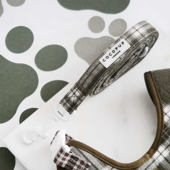 Olive Check Lead