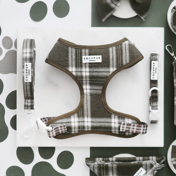 Olive Check Adjustable Neck Harness, Lead & Collar Bundle