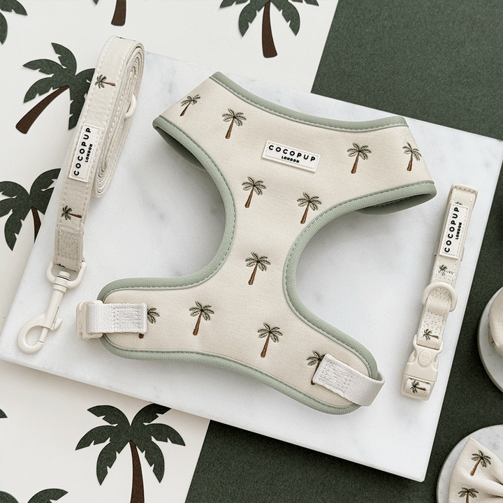 Palm Springs Adjustable Neck Harness, Lead & Collar Bundle