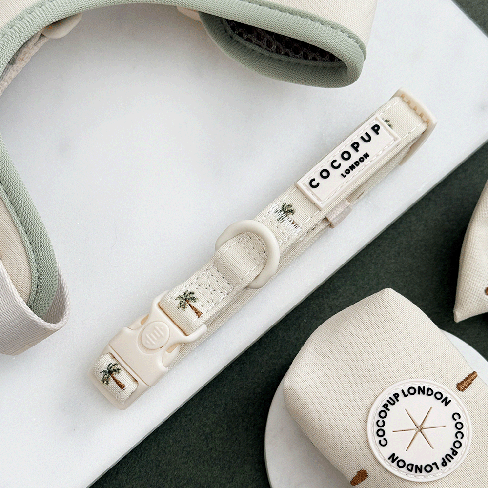 Palm Springs COLLAR