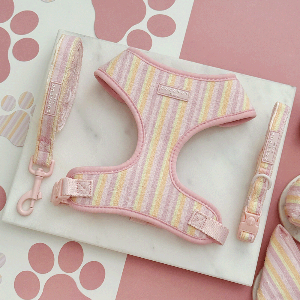 Pink, yellow and orange striped Dog Harness, Collar & Lead with pink Cocopup logo badges. 